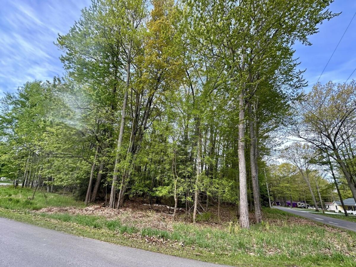 Picture of Home For Sale in Houghton Lake, Michigan, United States