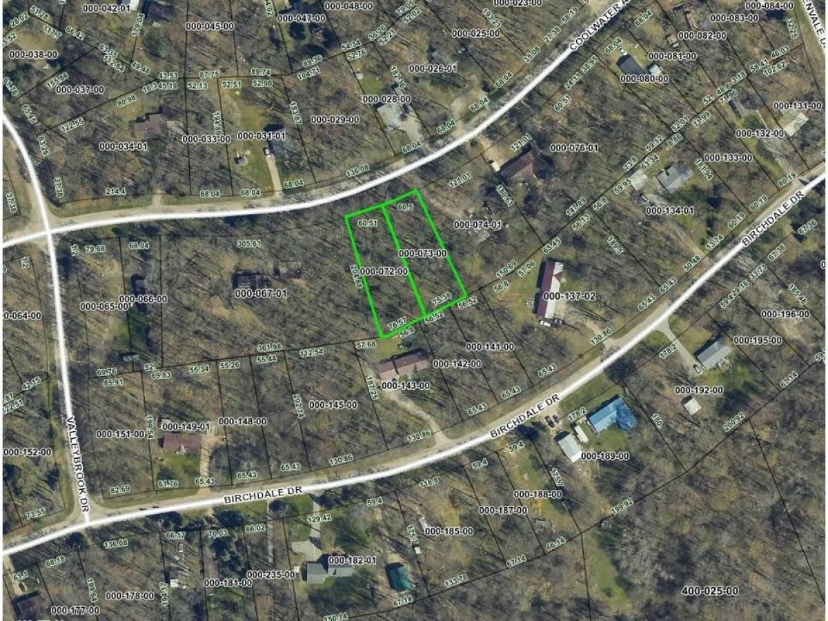 Picture of Residential Land For Sale in Johannesburg, Michigan, United States