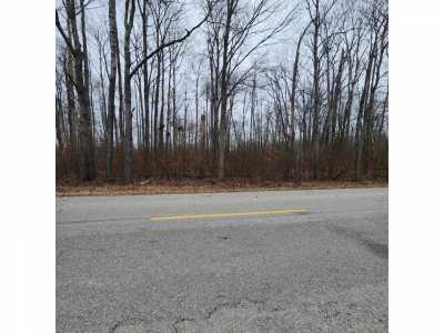 Residential Land For Sale in Greenbush, Michigan
