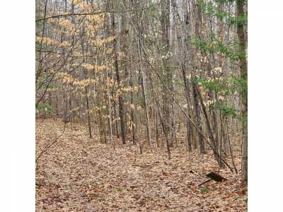 Residential Land For Sale in Glennie, Michigan