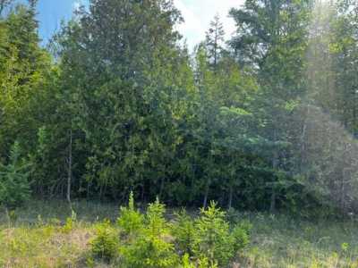 Residential Land For Sale in Presque Isle, Michigan