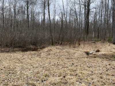 Residential Land For Sale in Alger, Michigan