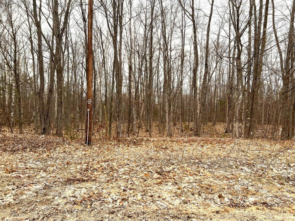 Picture of Residential Land For Sale in Cheboygan, Michigan, United States