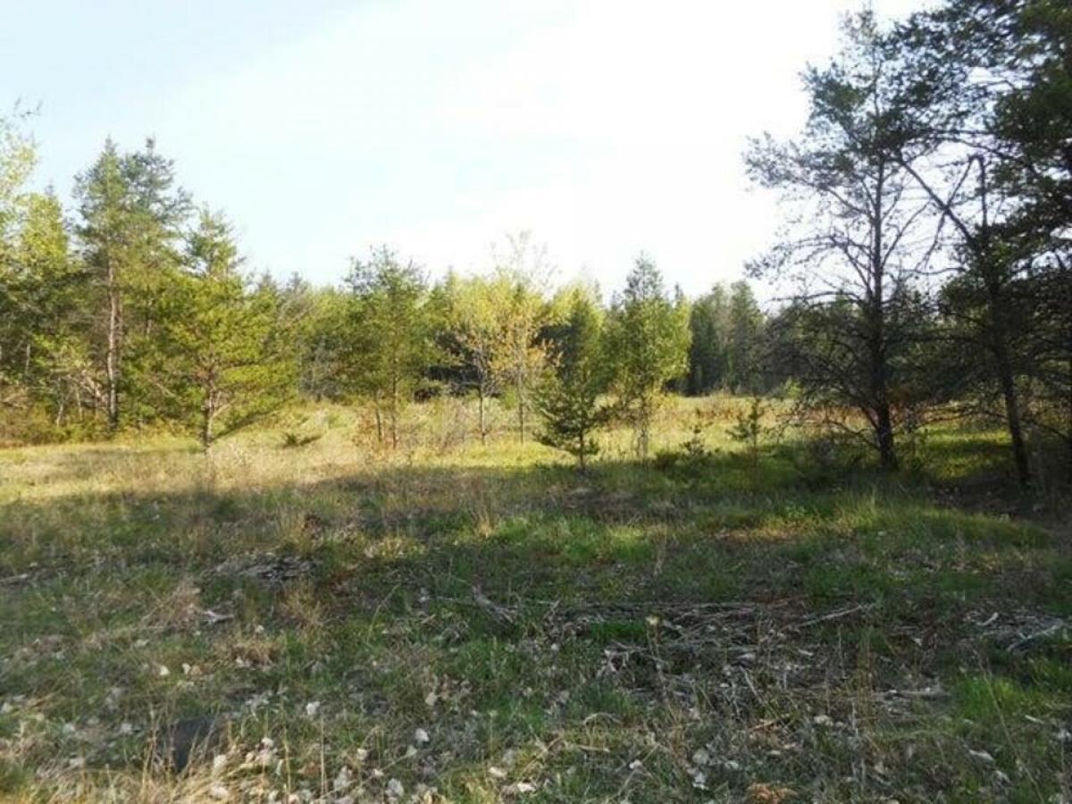 Picture of Residential Land For Sale in Alpena, Michigan, United States