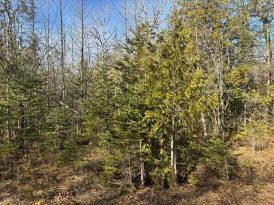 Residential Land For Sale in Presque Isle, Michigan