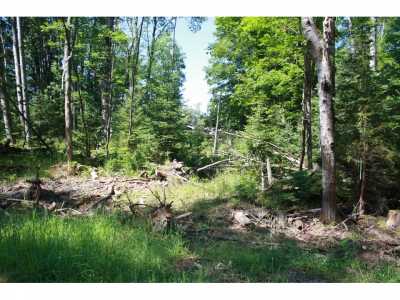 Residential Land For Sale in Lincoln, Michigan