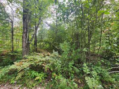 Residential Land For Sale in Spruce, Michigan
