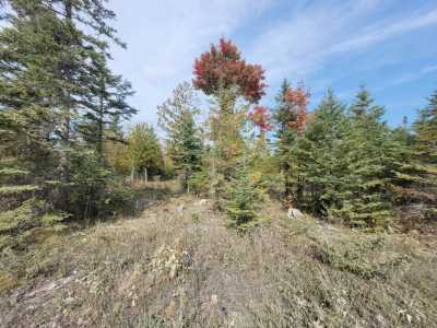 Residential Land For Sale in Rogers City, Michigan