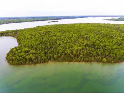 Residential Land For Sale in Presque Isle, Michigan