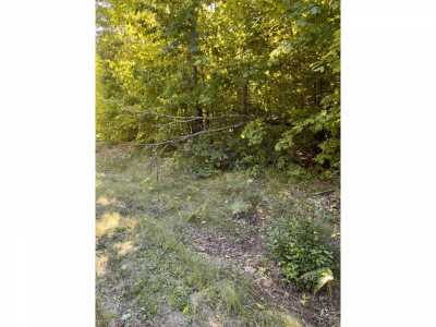 Residential Land For Sale in Grayling, Michigan
