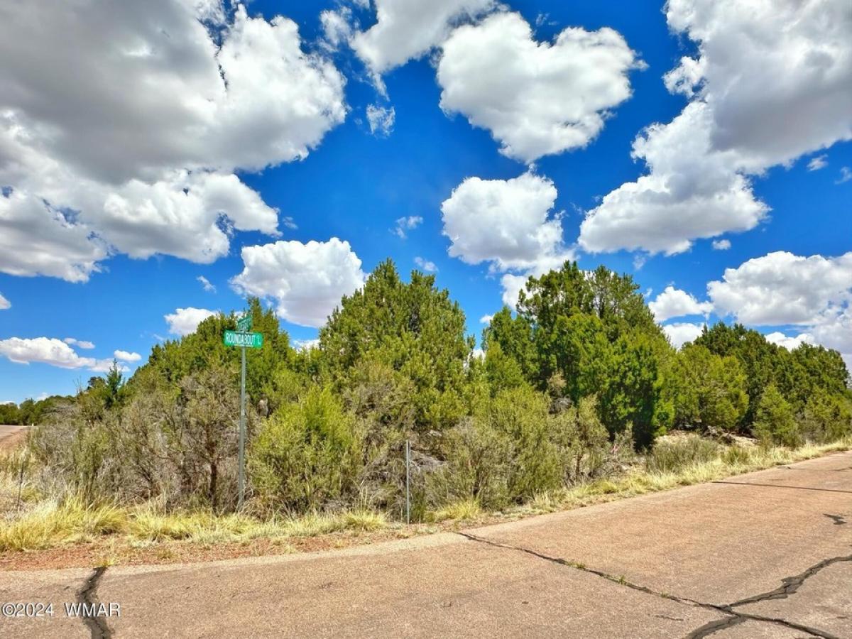 Picture of Residential Land For Sale in Overgaard, Arizona, United States