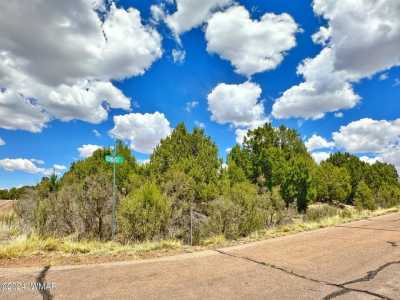 Residential Land For Sale in Overgaard, Arizona