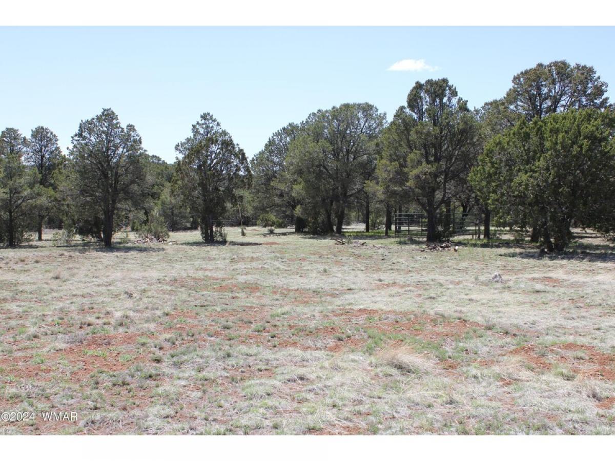 Picture of Residential Land For Sale in Vernon, Arizona, United States