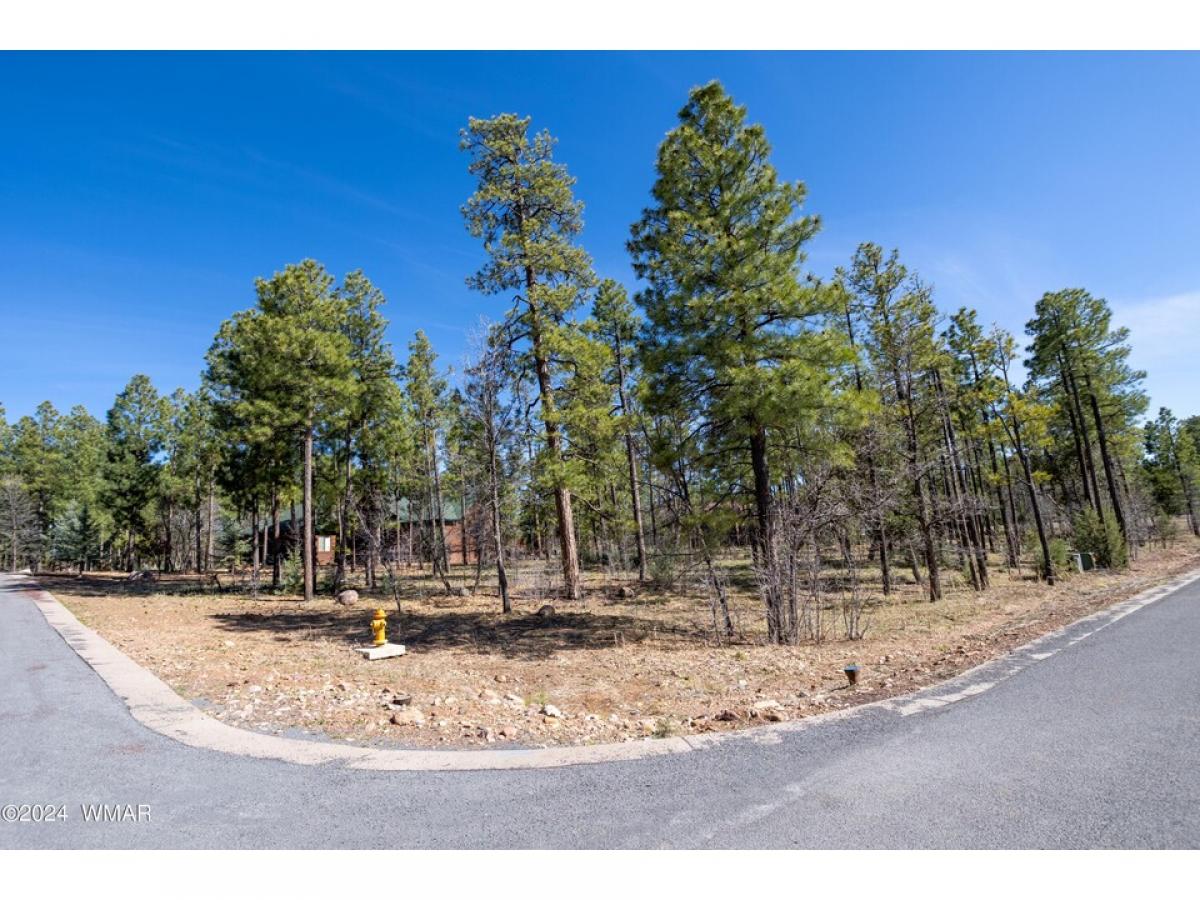 Picture of Residential Land For Sale in Lakeside, Arizona, United States