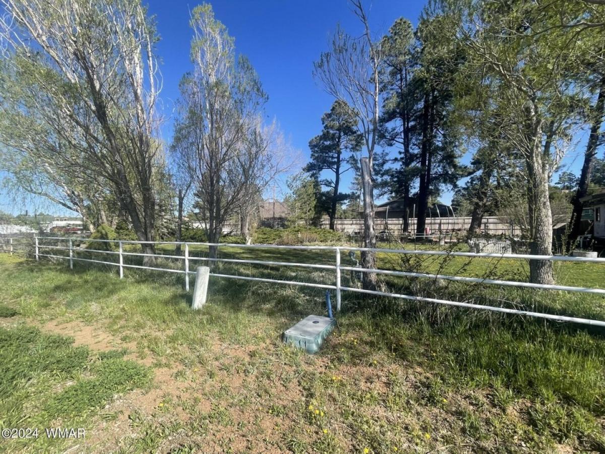 Picture of Home For Sale in Lakeside, Arizona, United States