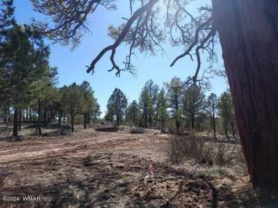 Residential Land For Sale in Heber, Arizona