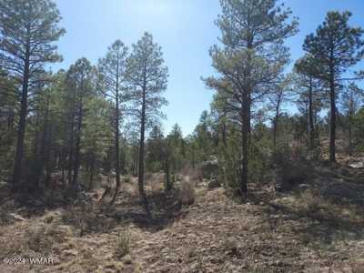 Residential Land For Sale in Heber, Arizona