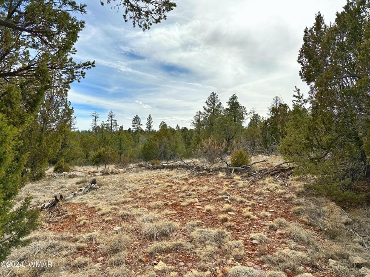 Picture of Residential Land For Sale in Heber, Arizona, United States
