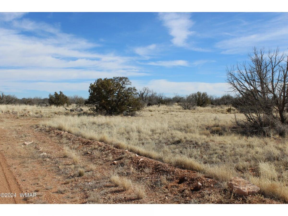 Picture of Residential Land For Sale in Heber, Arizona, United States