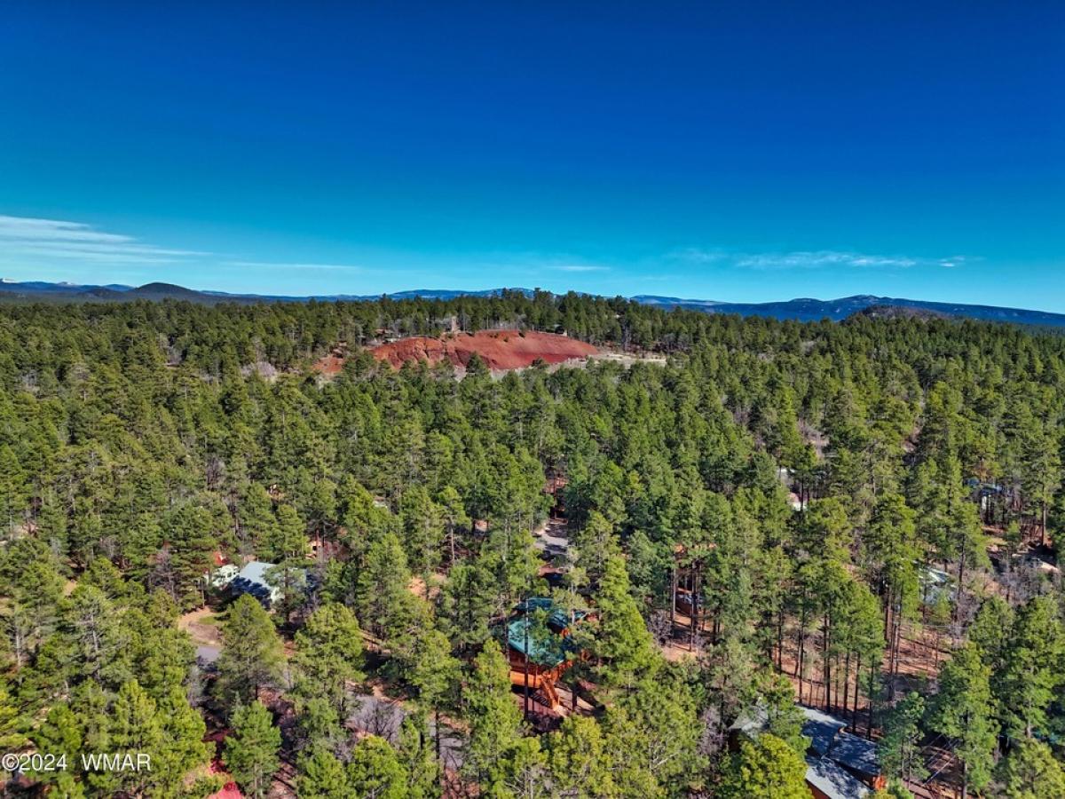 Picture of Home For Sale in Pinetop, Arizona, United States