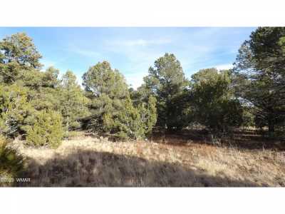 Residential Land For Sale in Vernon, Arizona
