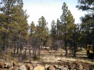 Residential Land For Sale in Lakeside, Arizona