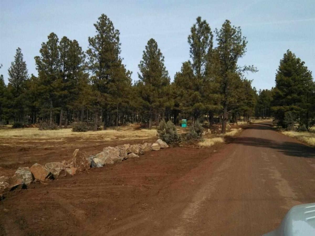Picture of Residential Land For Sale in Lakeside, Arizona, United States