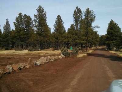 Residential Land For Sale in Lakeside, Arizona