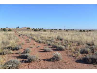 Residential Land For Sale in Snowflake, Arizona
