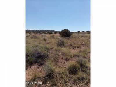Residential Land For Sale in Snowflake, Arizona