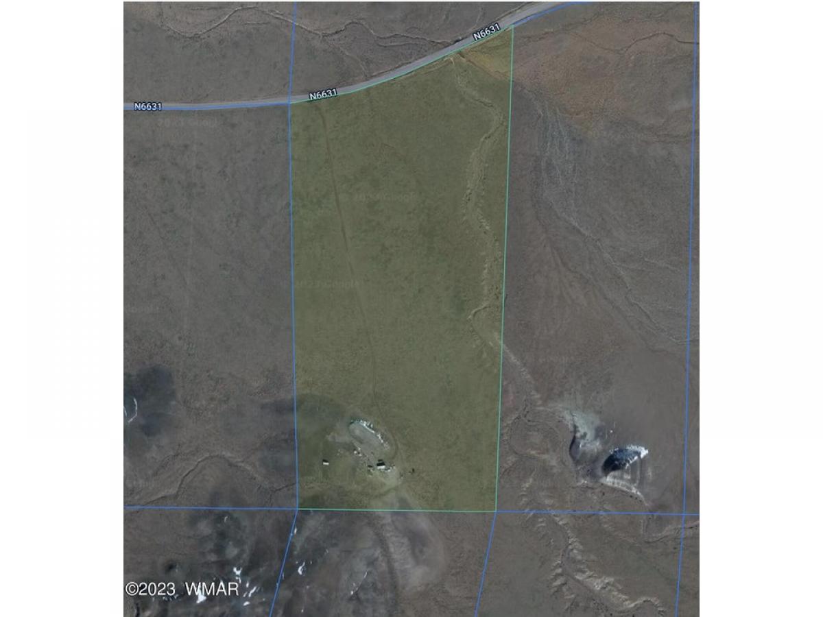 Picture of Residential Land For Sale in Saint Johns, Arizona, United States