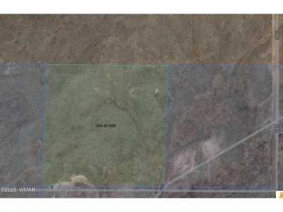 Residential Land For Sale in Saint Johns, Arizona