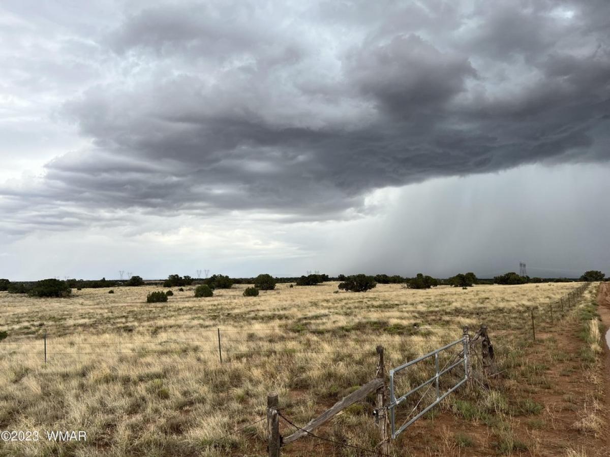 Picture of Residential Land For Sale in Snowflake, Arizona, United States