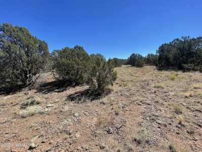 Residential Land For Sale in Show Low, Arizona