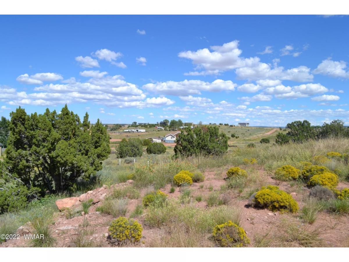 Picture of Residential Land For Sale in Taylor, Arizona, United States
