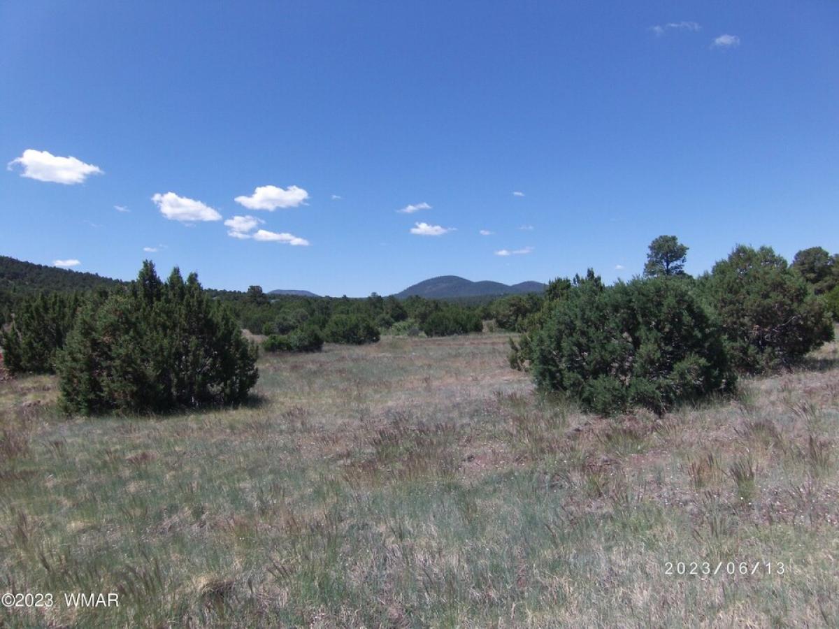 Picture of Residential Land For Sale in Vernon, Arizona, United States