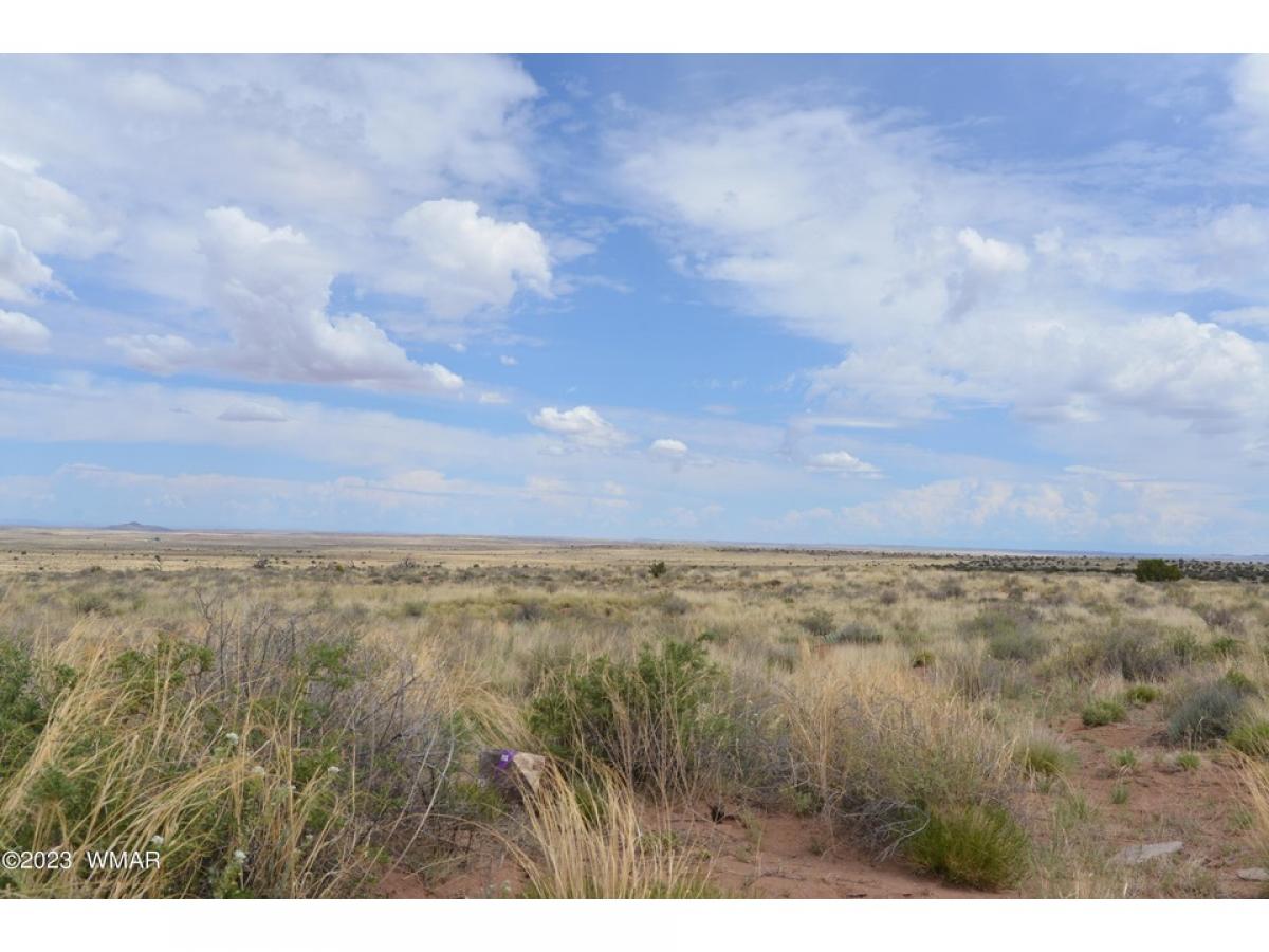 Picture of Residential Land For Sale in Snowflake, Arizona, United States