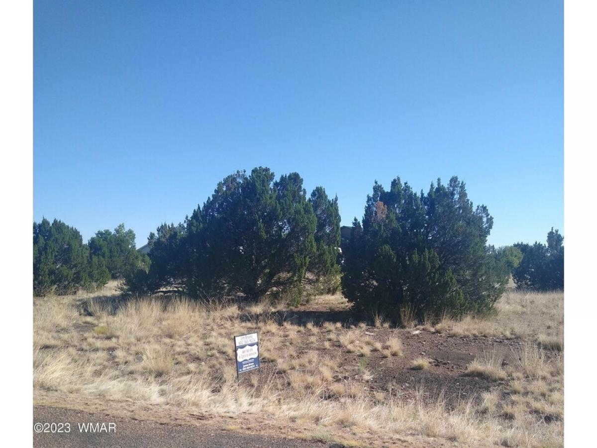 Picture of Residential Land For Sale in Show Low, Arizona, United States