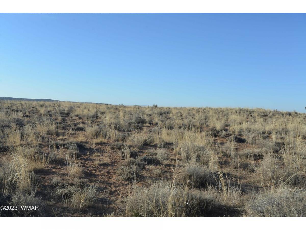Picture of Residential Land For Sale in Snowflake, Arizona, United States