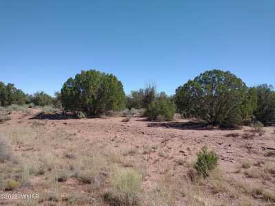 Residential Land For Sale in Snowflake, Arizona