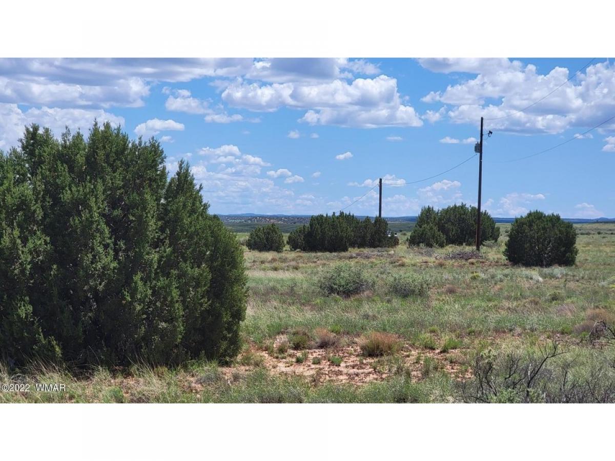Picture of Residential Land For Sale in Snowflake, Arizona, United States