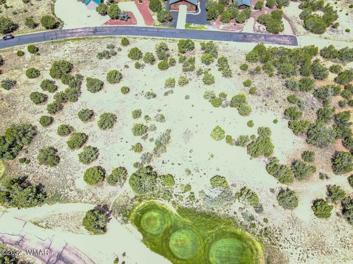 Picture of Residential Land For Sale in Show Low, Arizona, United States