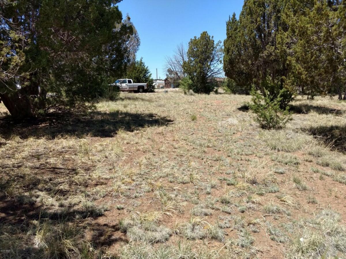 Picture of Residential Land For Sale in Concho, Arizona, United States