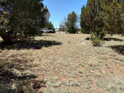 Residential Land For Sale in Concho, Arizona