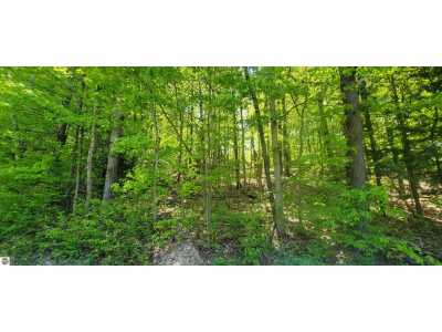 Residential Land For Sale in Alden, Michigan