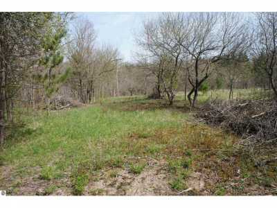 Residential Land For Sale in Mesick, Michigan