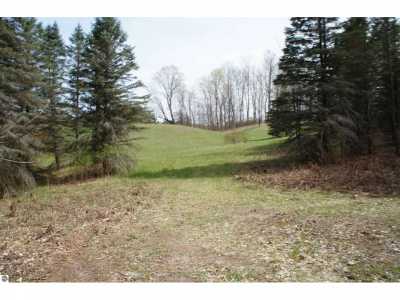 Residential Land For Sale in Mesick, Michigan