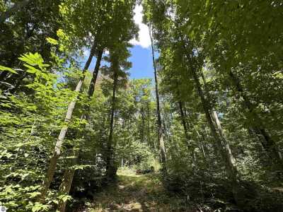 Residential Land For Sale in Mancelona, Michigan