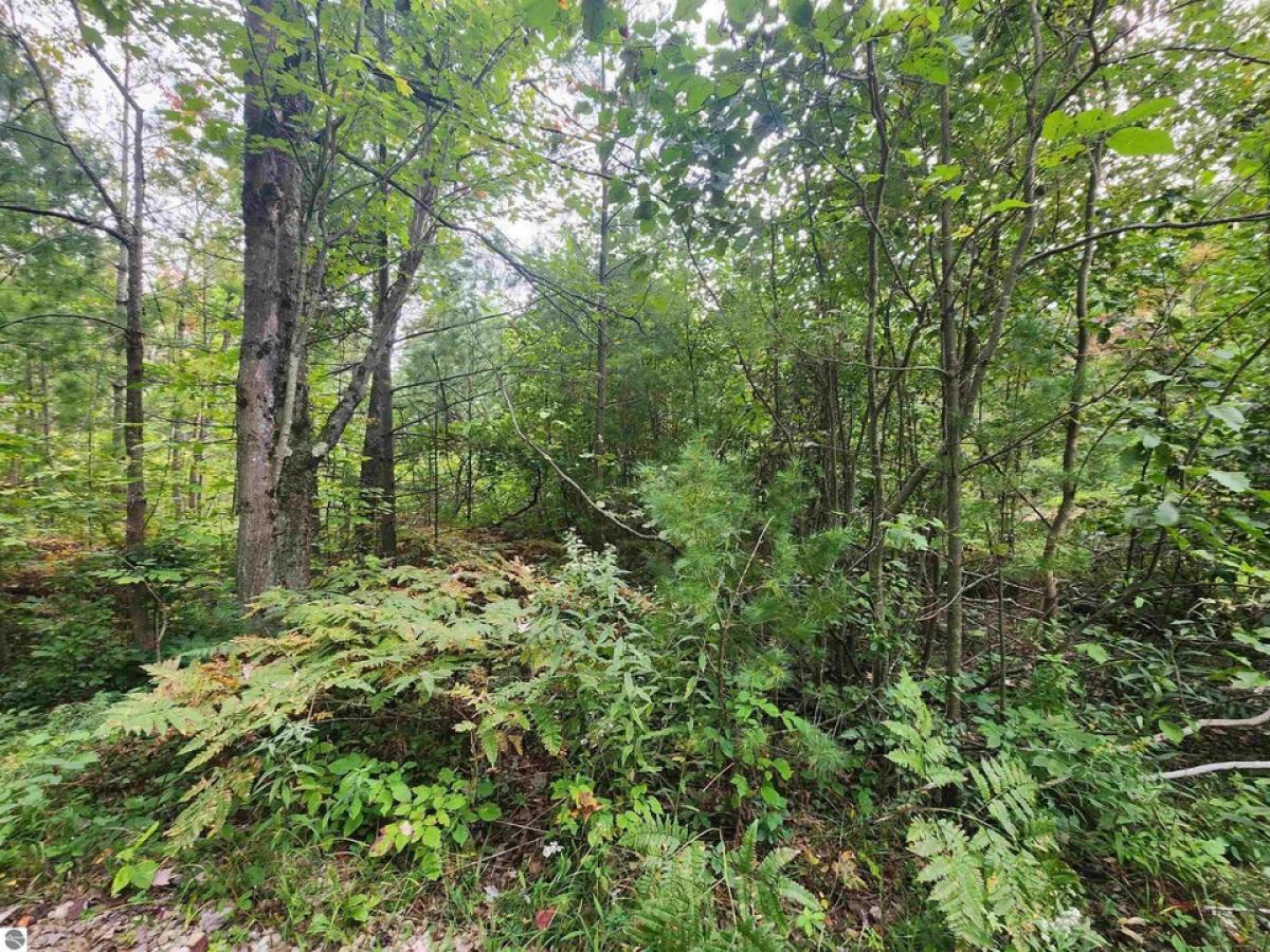 Picture of Residential Land For Sale in Spruce, Michigan, United States
