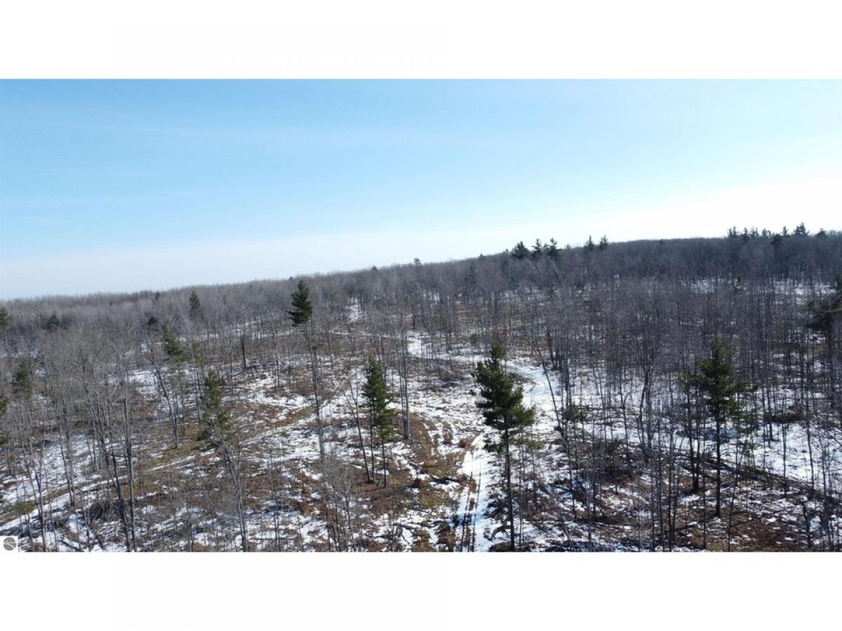 Picture of Residential Land For Sale in West Branch, Michigan, United States